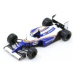 Williams FW16, Damon Hill